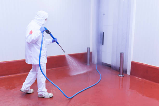 Best Driveway Cleaning and Restoration in Northfield, MN
