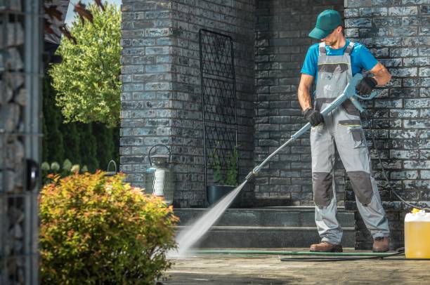 Best Roof Cleaning and Mildew Removal in Northfield, MN